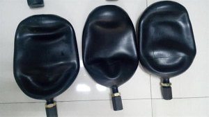 BLADDER 4L и 6L & 10L PUTZMEISTER