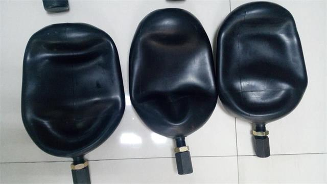 BLADDER 4L и 6L & 10L PUTZMEISTER